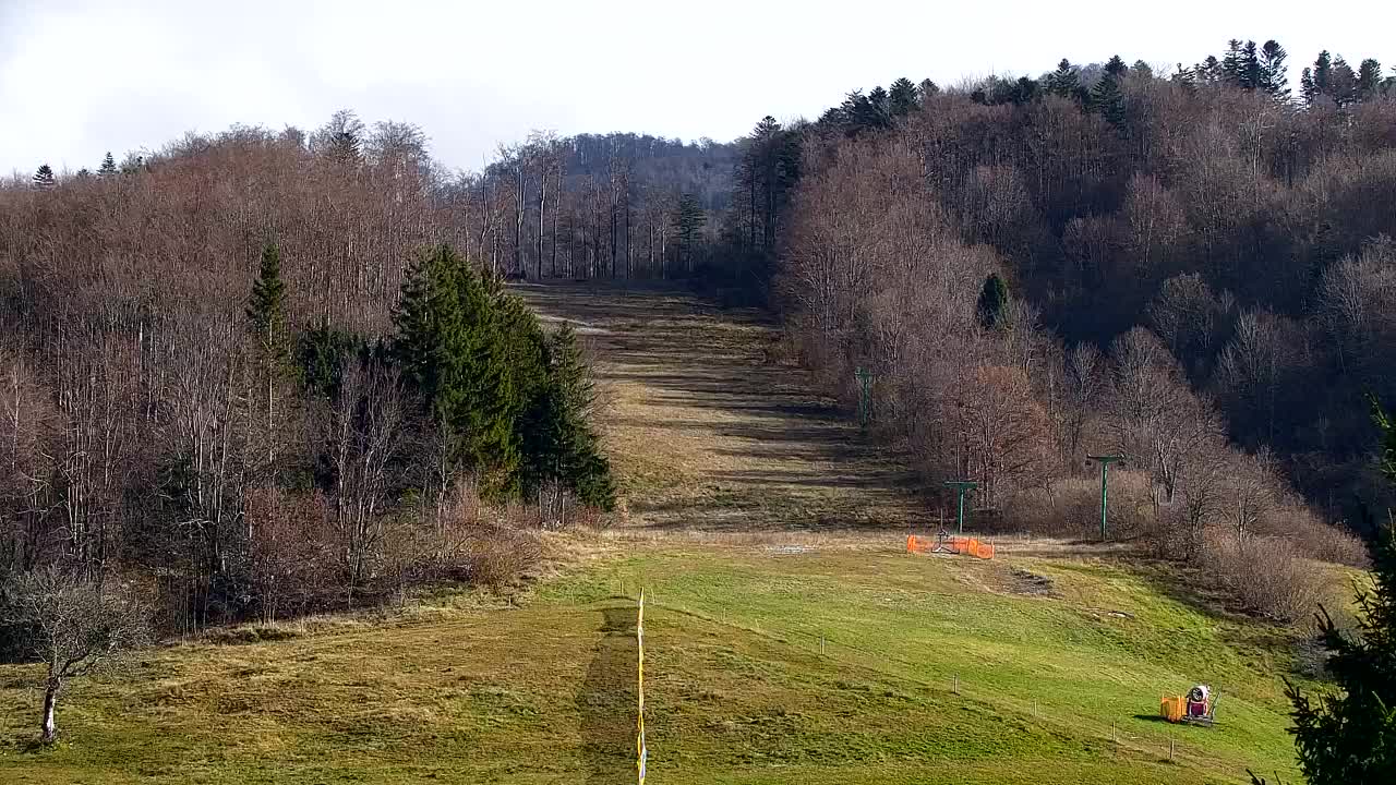 Webcam Loqua / Lokve – La bellezza della selva di Tarnova