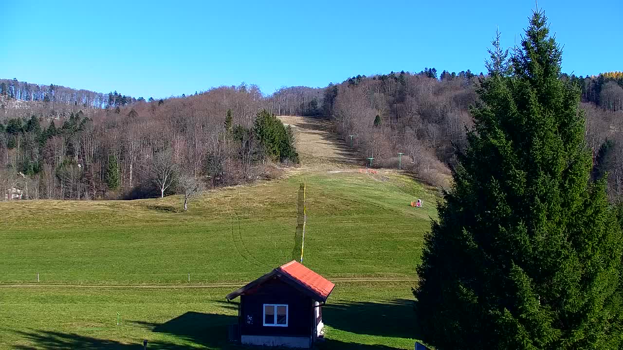 Web kamera Lokve – Ljepota Trnovske šume