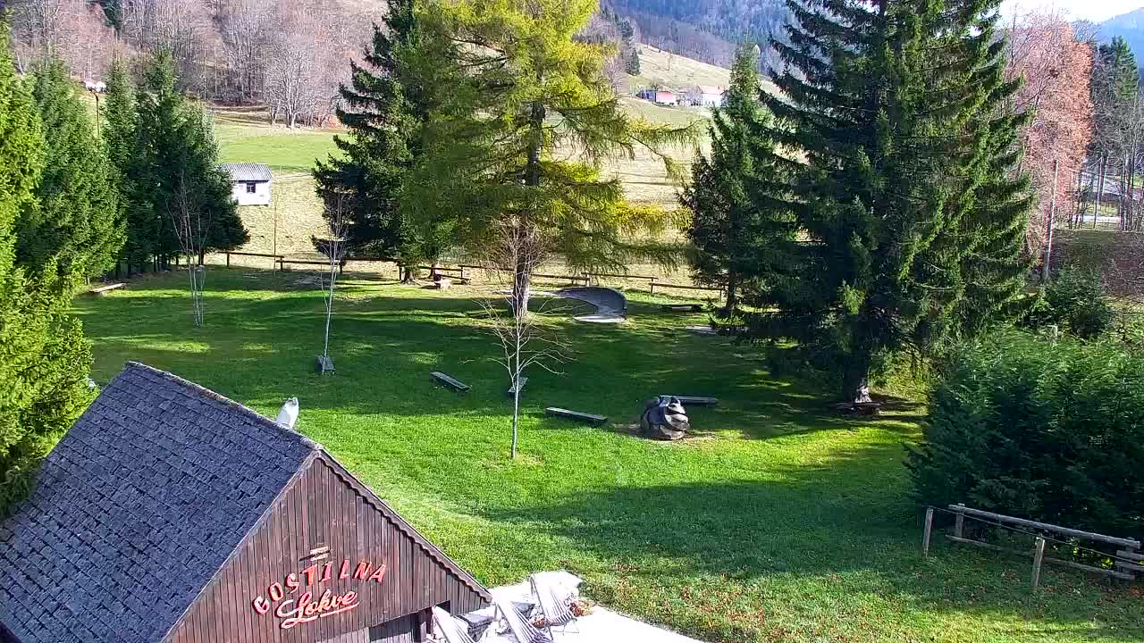 Webcam Lokve – La beauté de la forêt de Trnovo