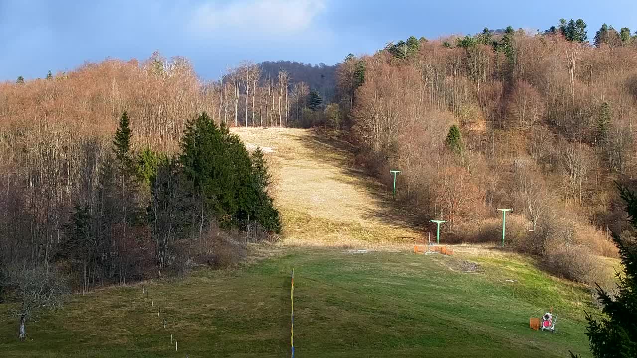 Webcam Lokve – La beauté de la forêt de Trnovo