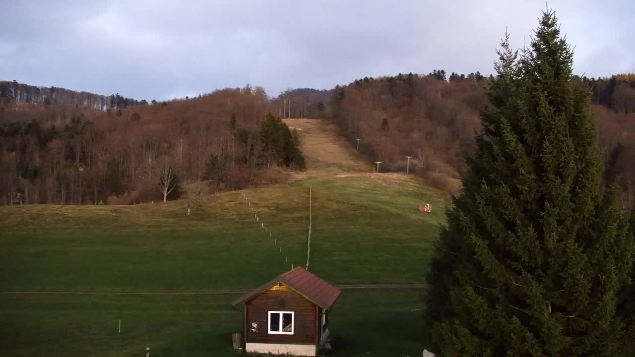 Webcam Loqua / Lokve – La bellezza della selva di Tarnova