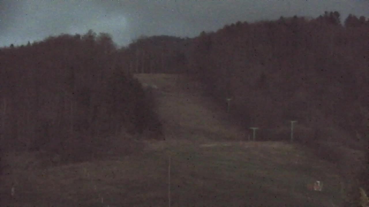 Webcam Lokve – The beauty of the Trnovo forest