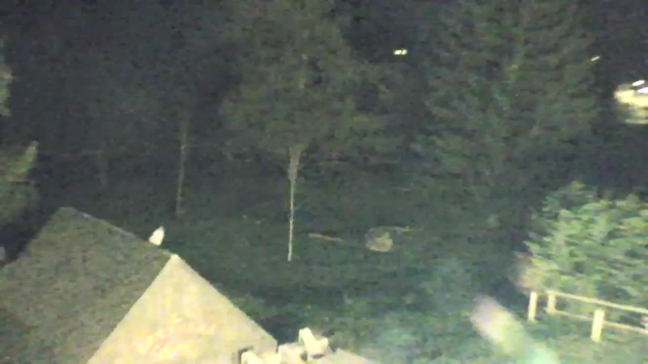 Webcam Lokve – The beauty of the Trnovo forest