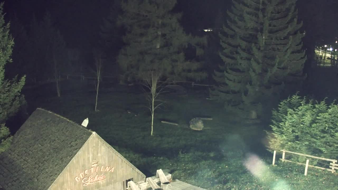 Webcam Loqua / Lokve – La bellezza della selva di Tarnova