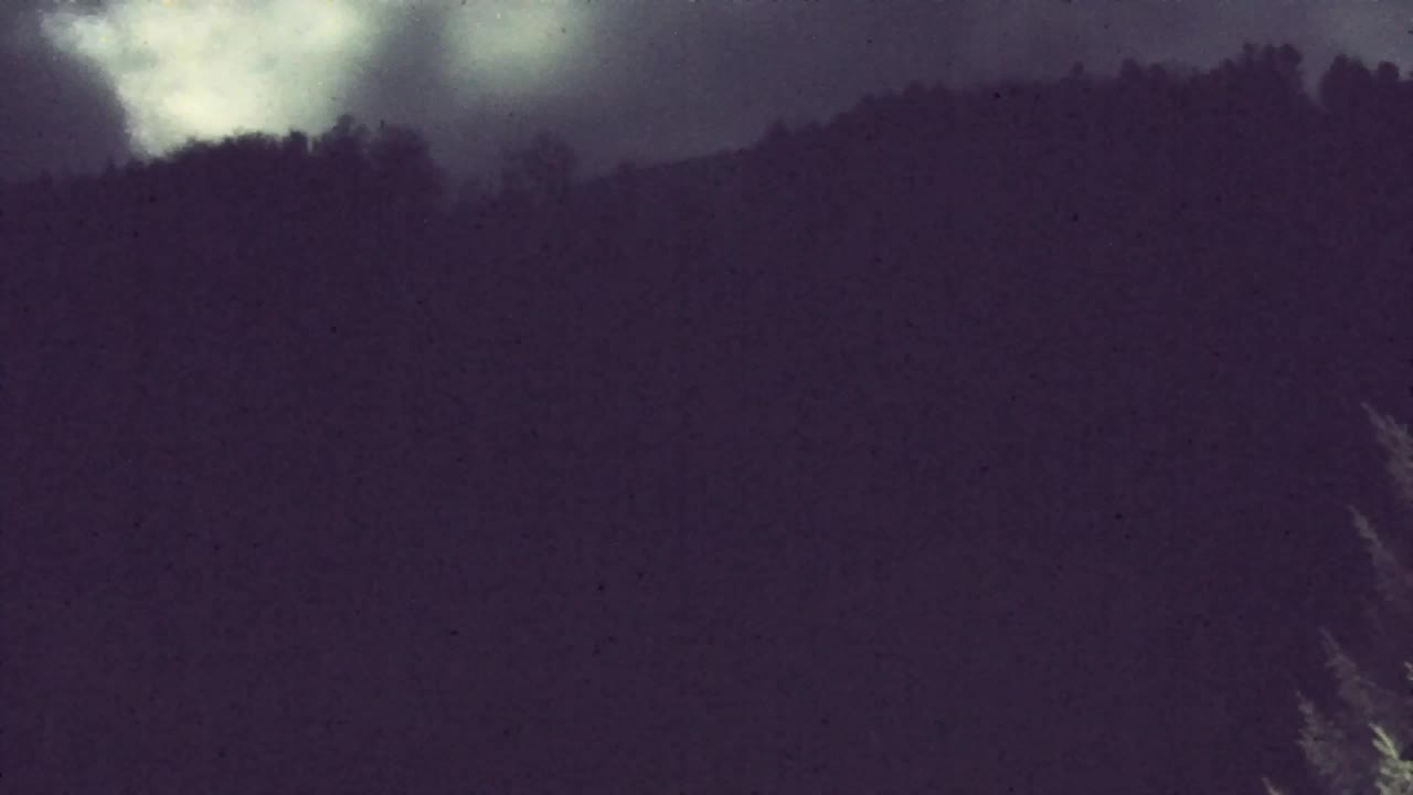 Webcam Lokve – La beauté de la forêt de Trnovo