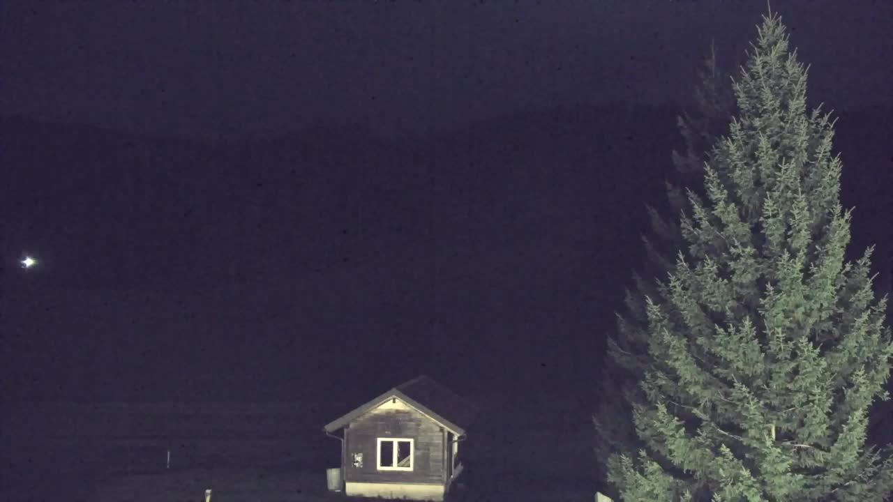 Webcam Loqua / Lokve – La bellezza della selva di Tarnova