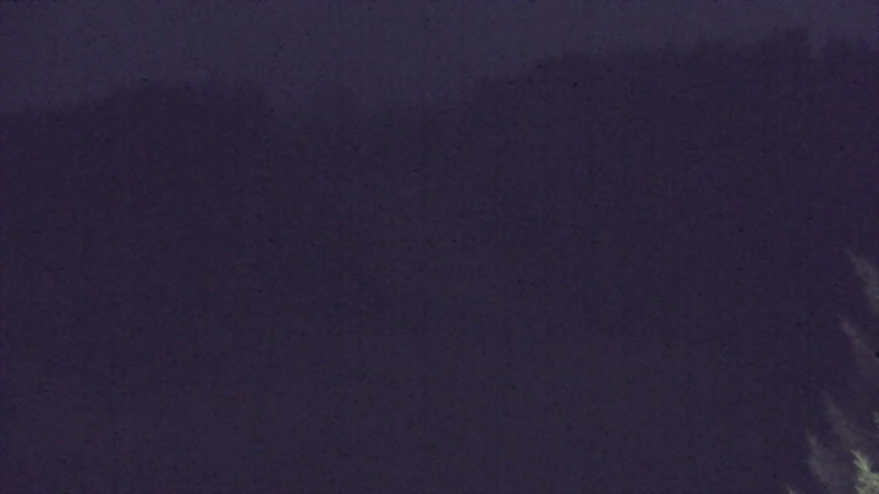 Webcam Lokve – La beauté de la forêt de Trnovo