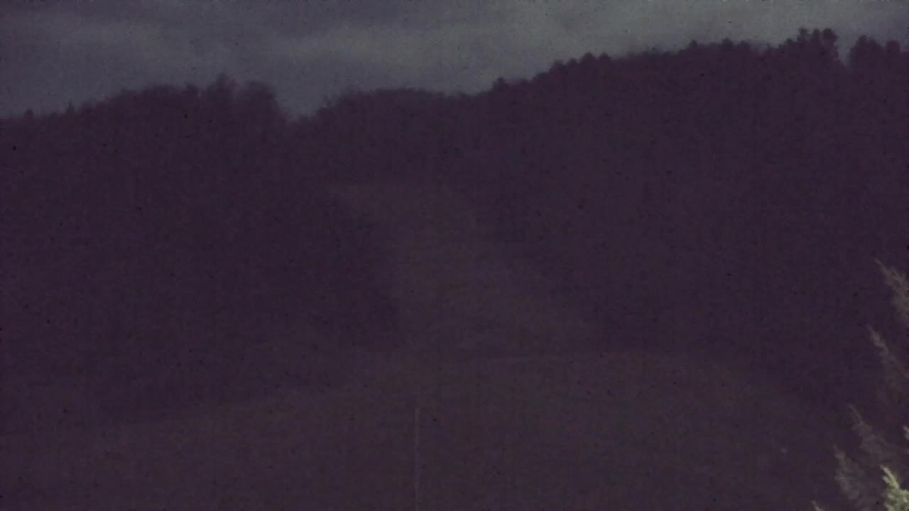 Webcam Lokve – La beauté de la forêt de Trnovo