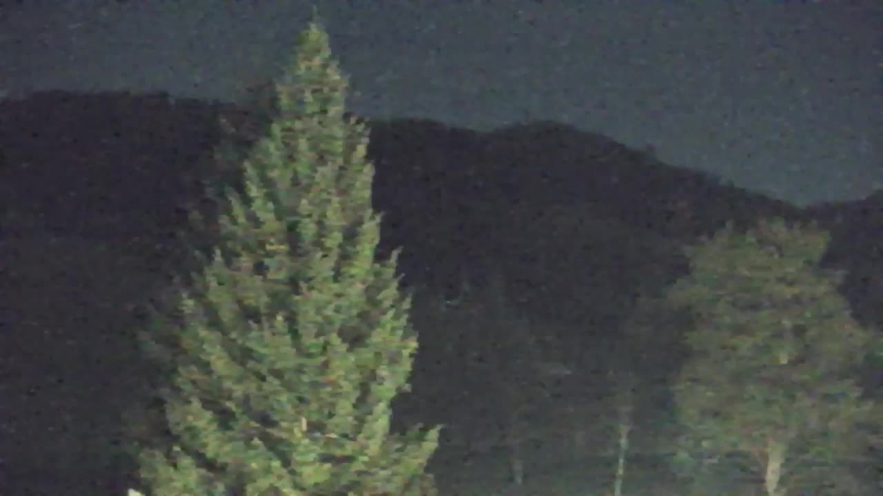 Webcam Lokve – The beauty of the Trnovo forest