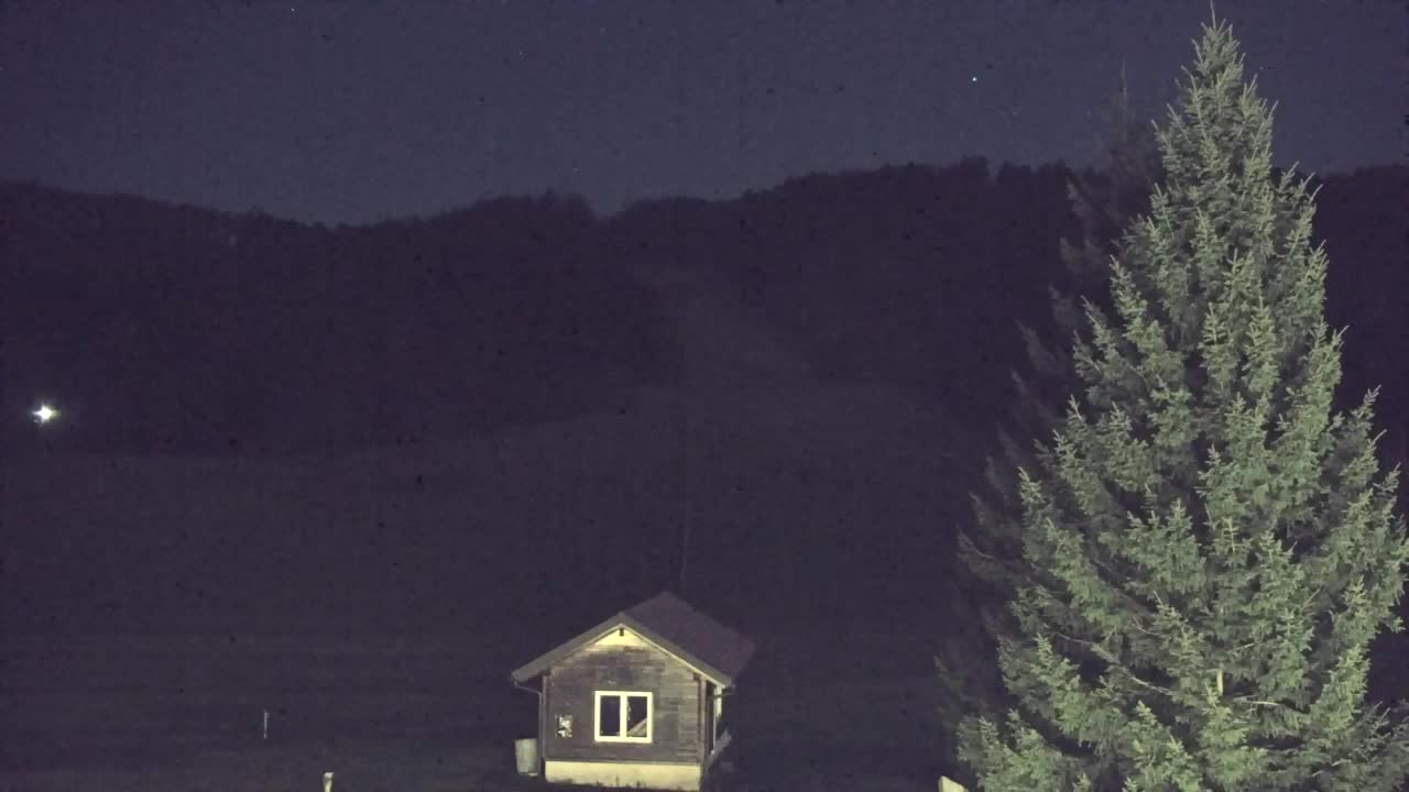 Webcam Lokve – The beauty of the Trnovo forest