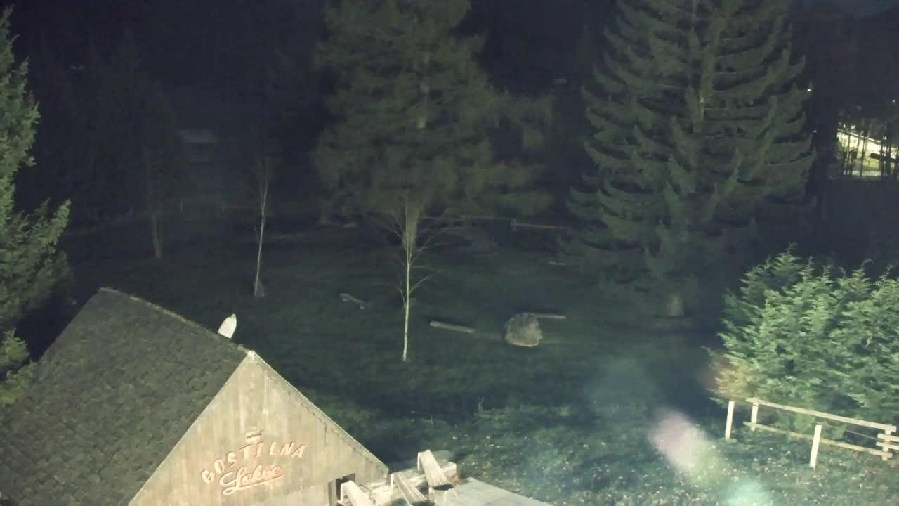 Lokve kamera – Naravne lepote Trnovskega gozda