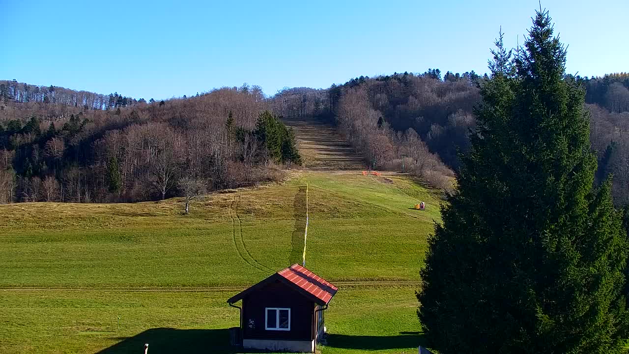 Web kamera Lokve – Ljepota Trnovske šume