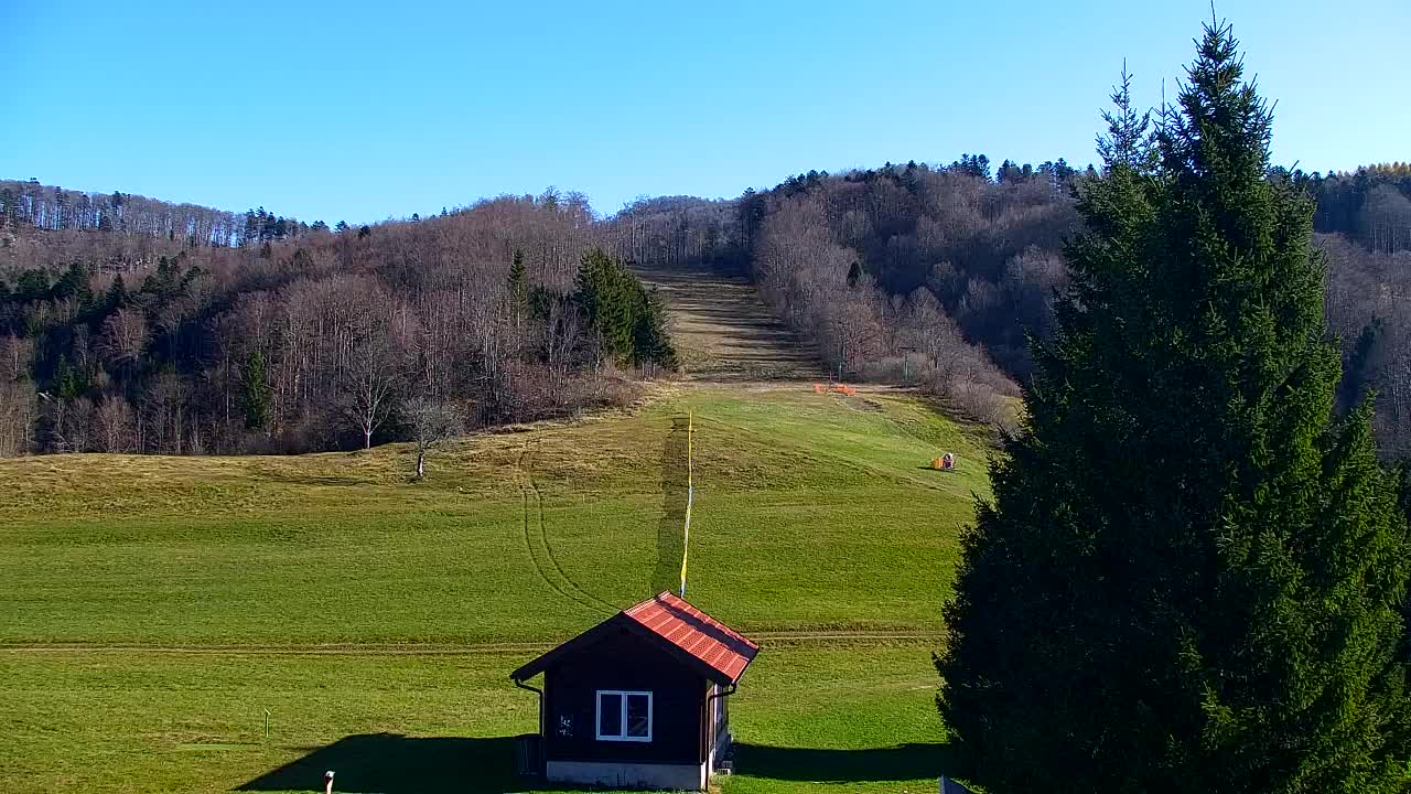 Web kamera Lokve – Ljepota Trnovske šume