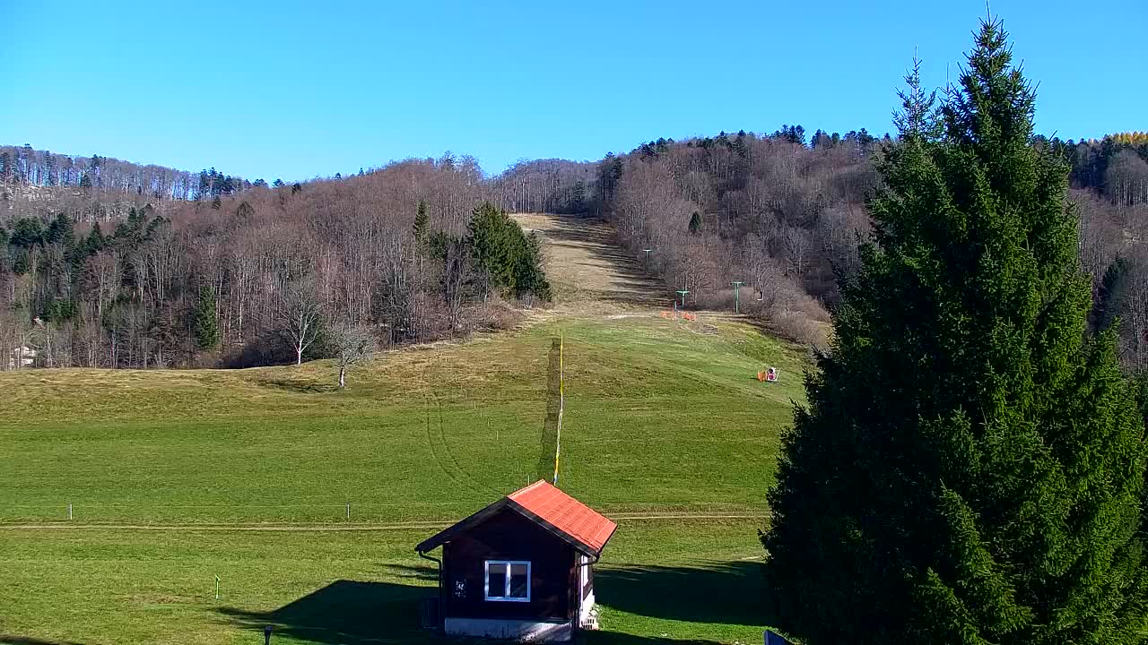 Webcam Lokve – The beauty of the Trnovo forest