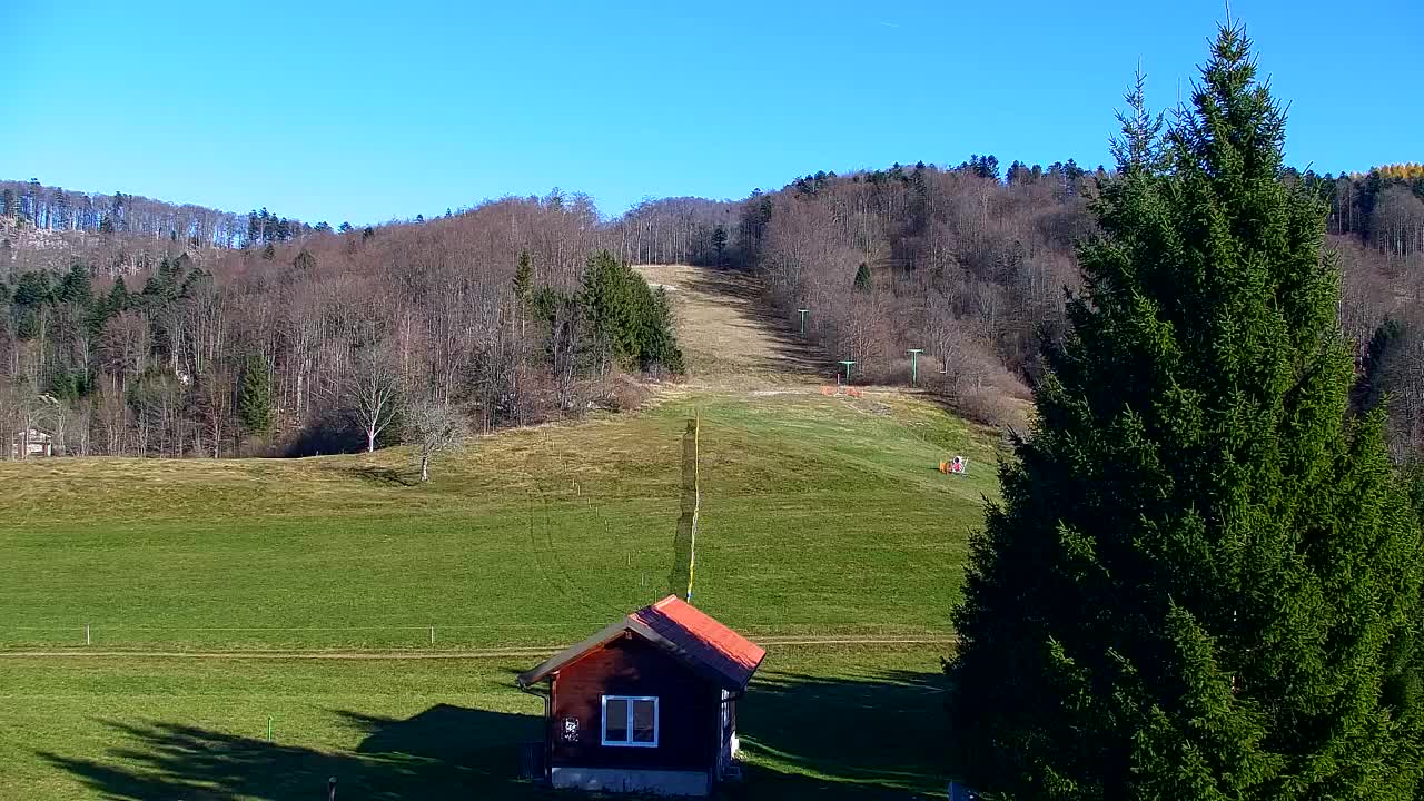 Webcam Loqua / Lokve – La bellezza della selva di Tarnova