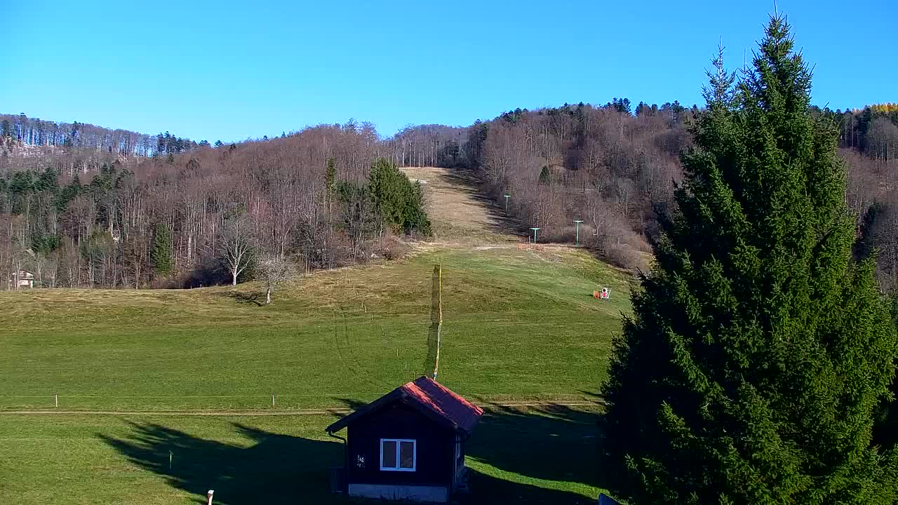 Webcam Lokve – The beauty of the Trnovo forest