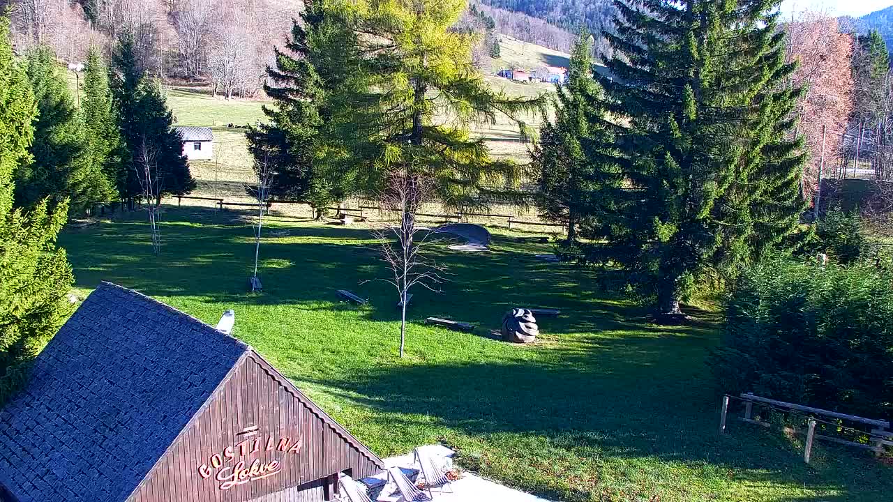 Camera en vivo Lokve – La belleza del bosque de Trnovo