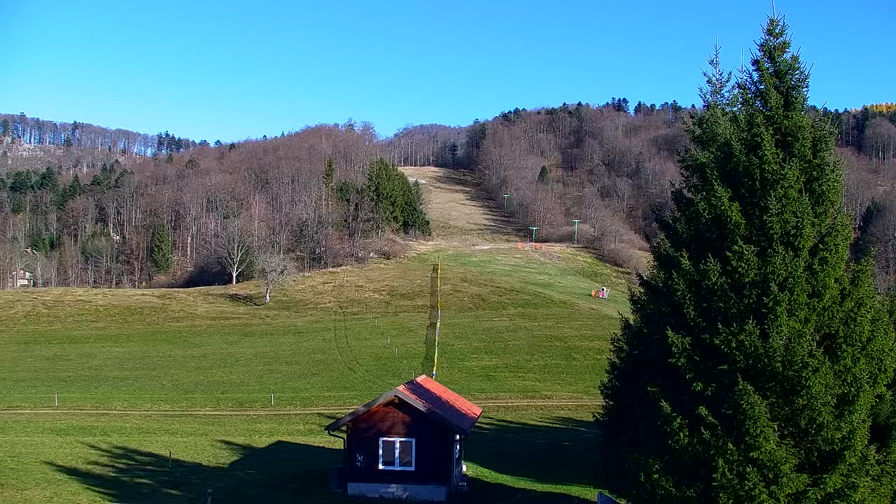 Webcam Lokve – La beauté de la forêt de Trnovo