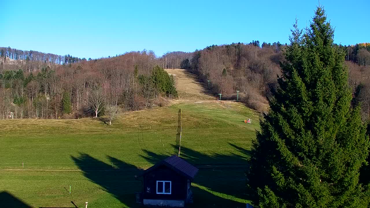 Webcam Lokve – The beauty of the Trnovo forest