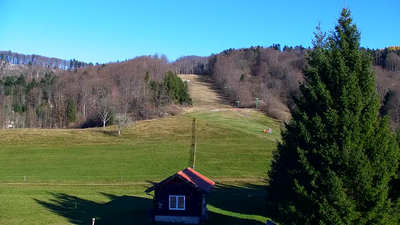 Lokve kamera – Naravne lepote Trnovskega gozda