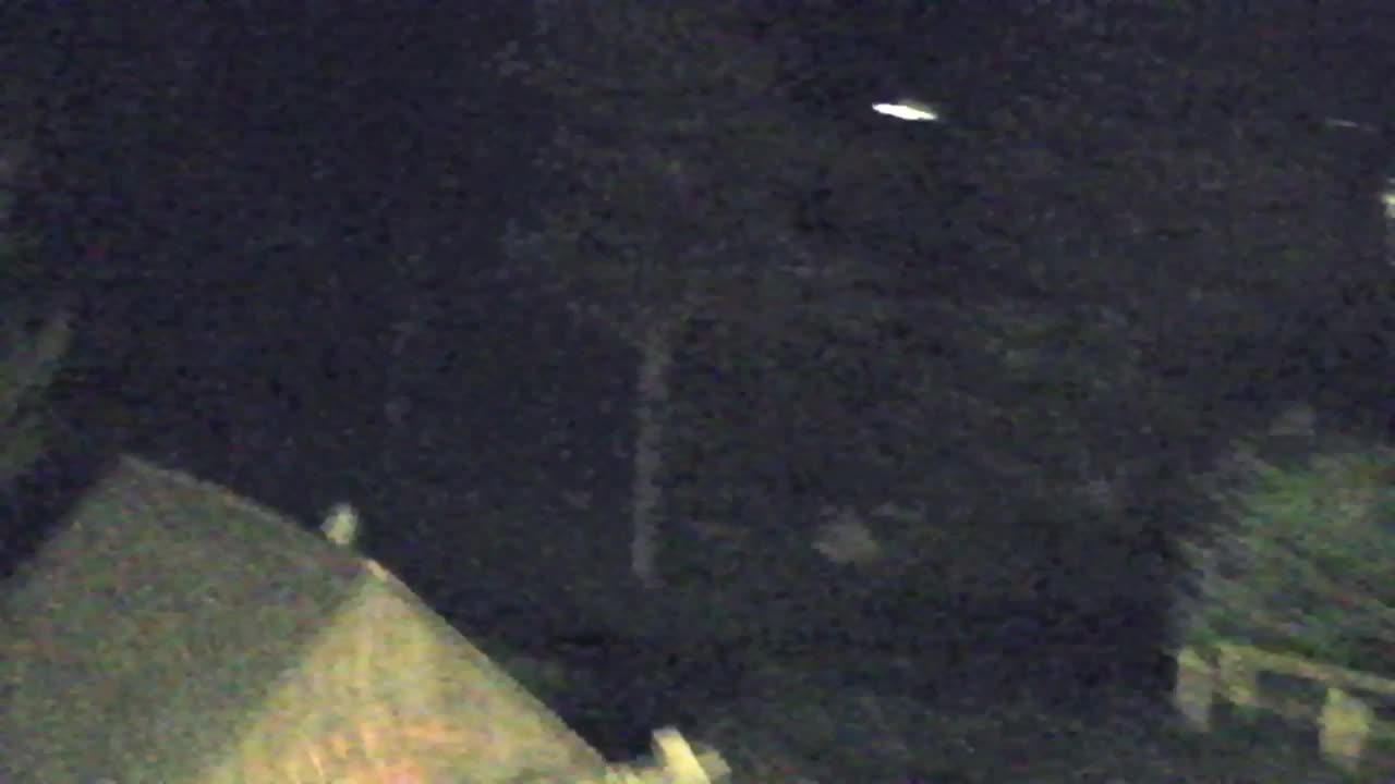 Webcam Loqua / Lokve – La bellezza della selva di Tarnova