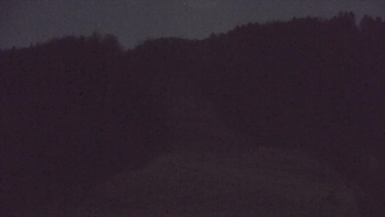 Camera en vivo Lokve – La belleza del bosque de Trnovo