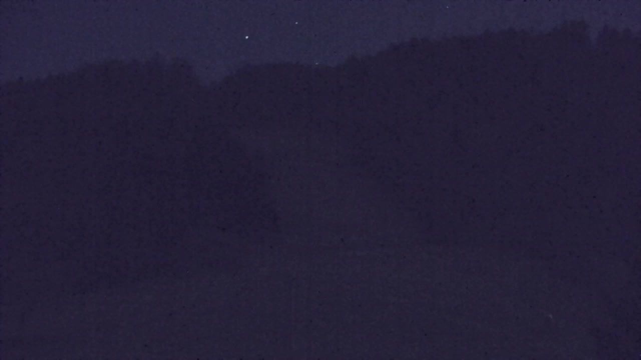 Webcam Lokve – The beauty of the Trnovo forest