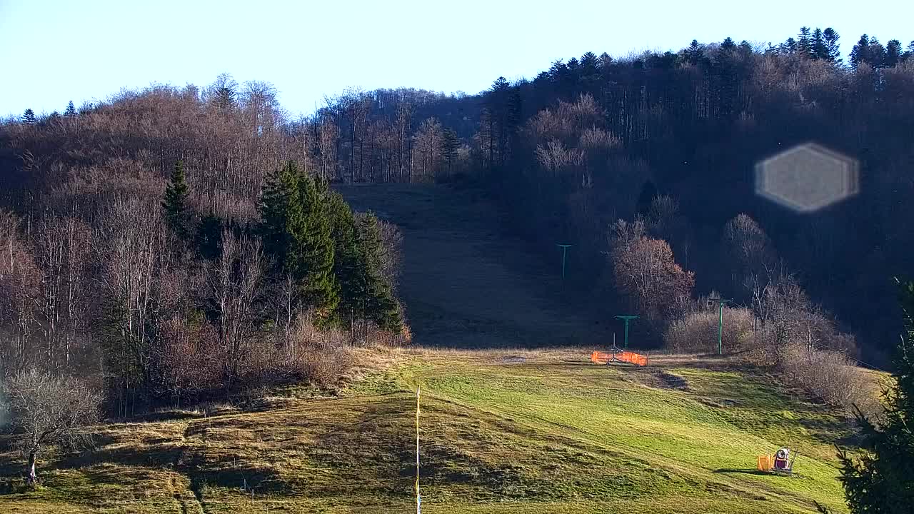 Webcam Loqua / Lokve – La bellezza della selva di Tarnova