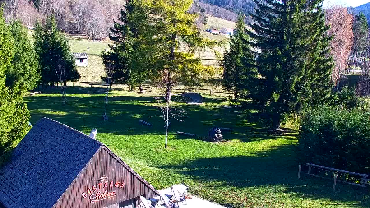 Camera en vivo Lokve – La belleza del bosque de Trnovo