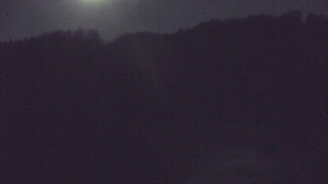 Webcam Loqua / Lokve – La bellezza della selva di Tarnova