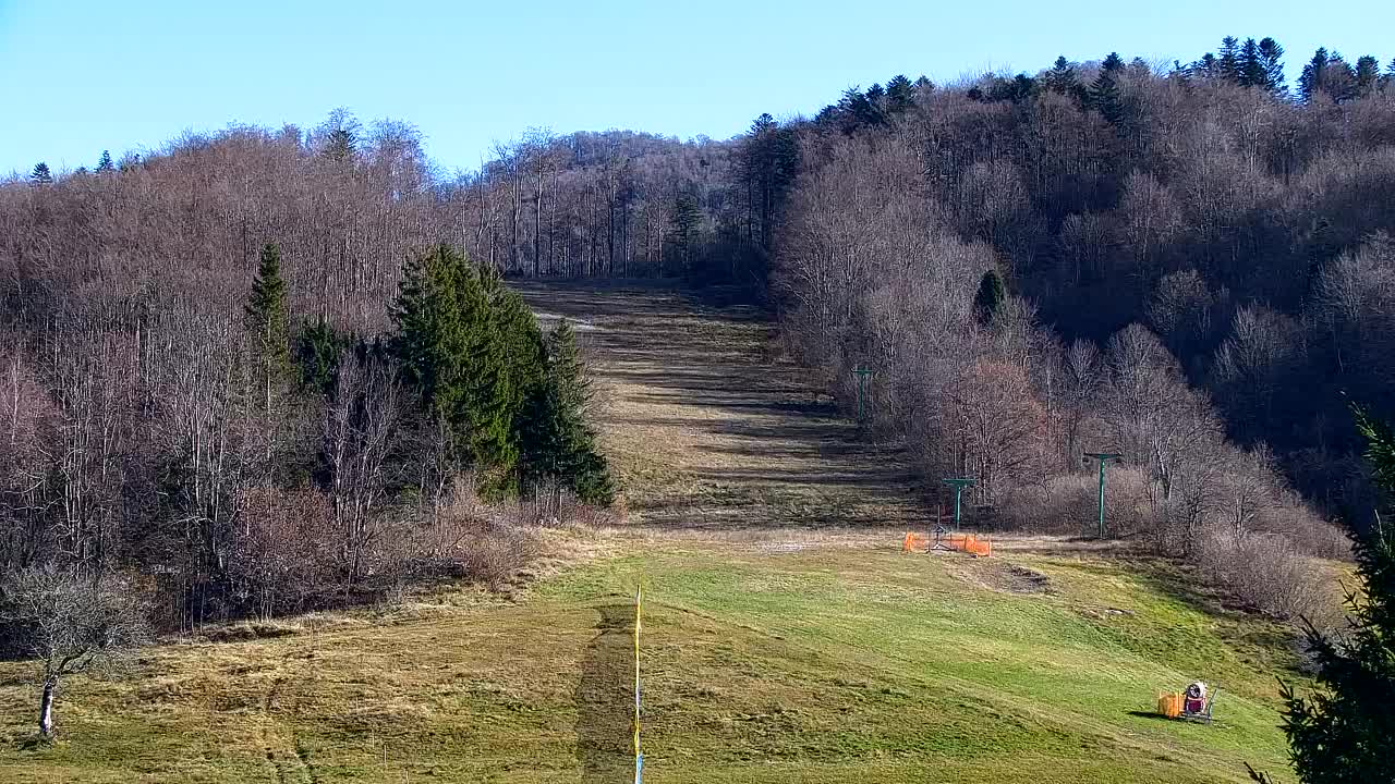 Webcam Loqua / Lokve – La bellezza della selva di Tarnova
