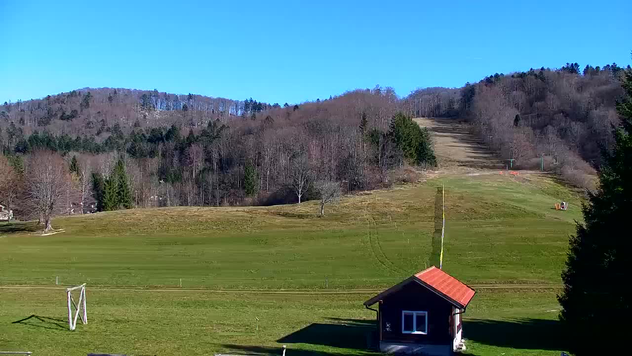 Webcam Loqua / Lokve – La bellezza della selva di Tarnova