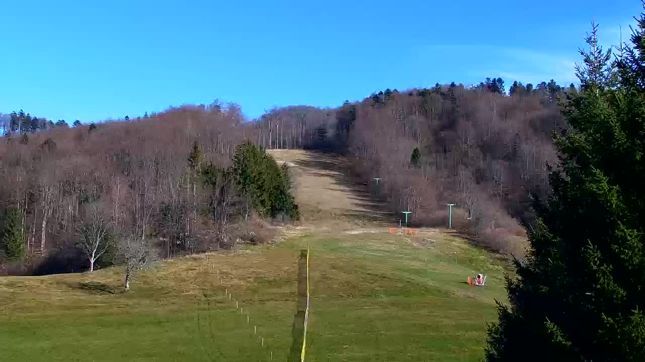 Webcam Loqua / Lokve – La bellezza della selva di Tarnova