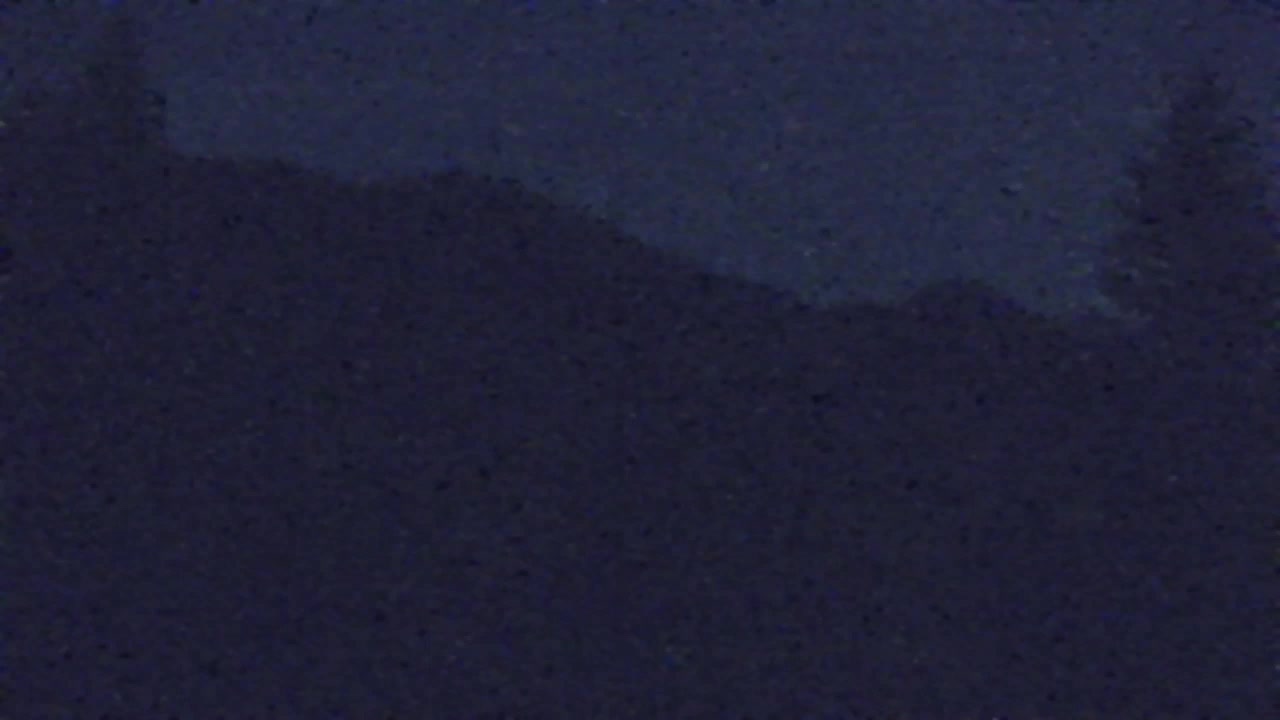 Webcam Loqua / Lokve – La bellezza della selva di Tarnova