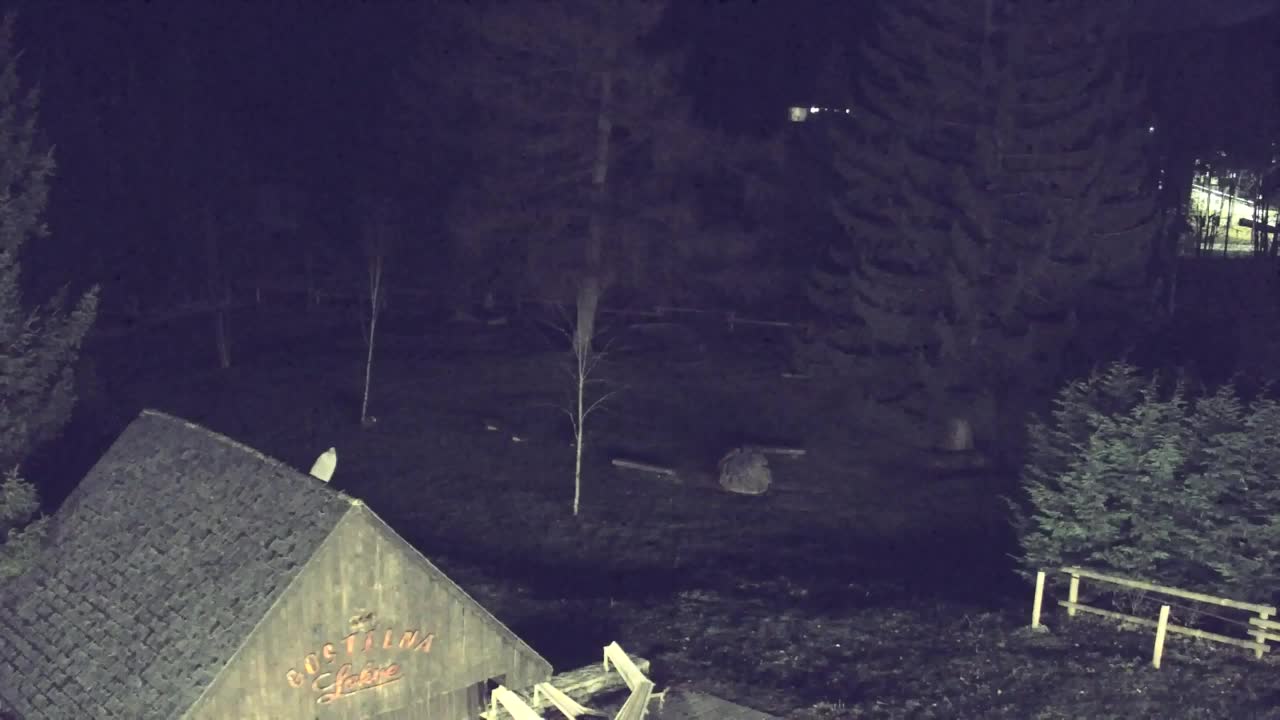 Webcam Lokve – Die Schönheit des Trnovo-Waldes