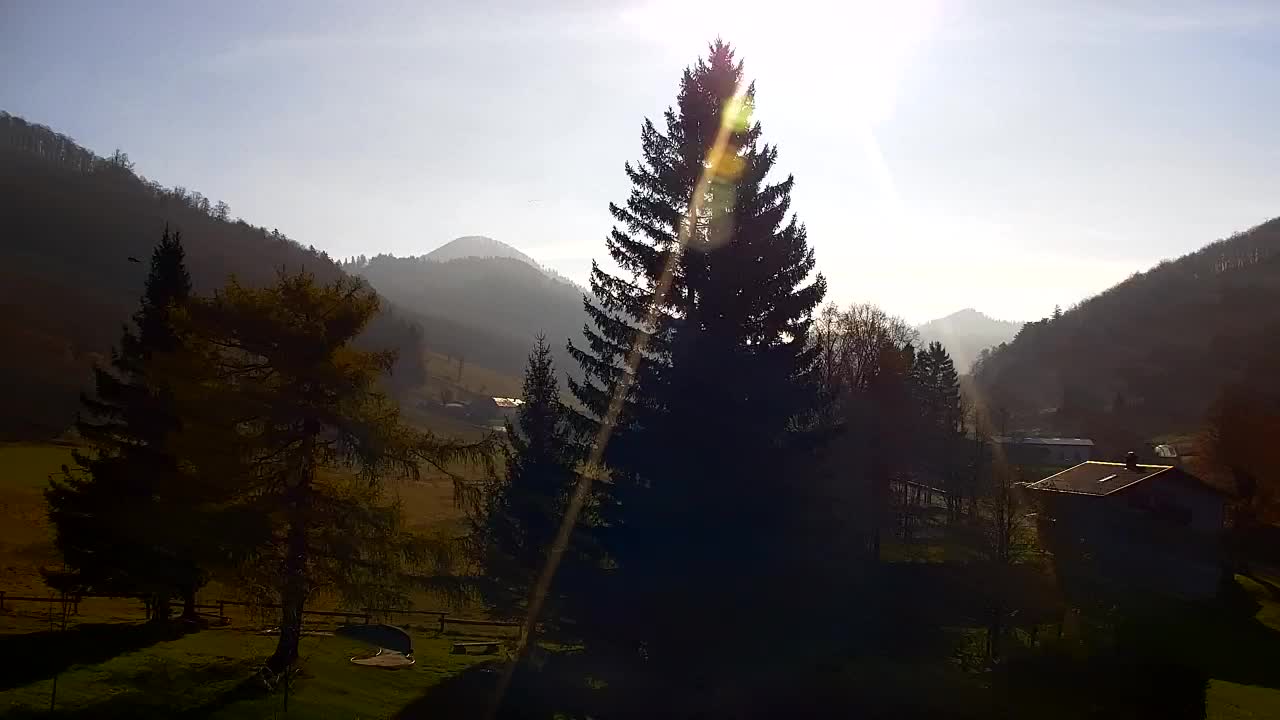 Webcam Lokve – The beauty of the Trnovo forest