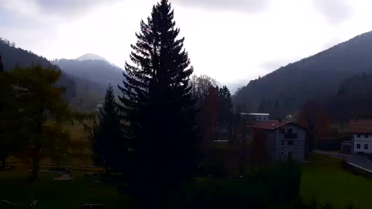 Webcam Lokve – The beauty of the Trnovo forest