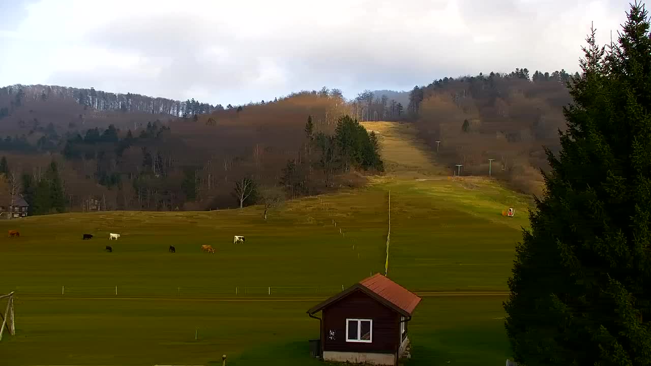Webcam Lokve – Die Schönheit des Trnovo-Waldes