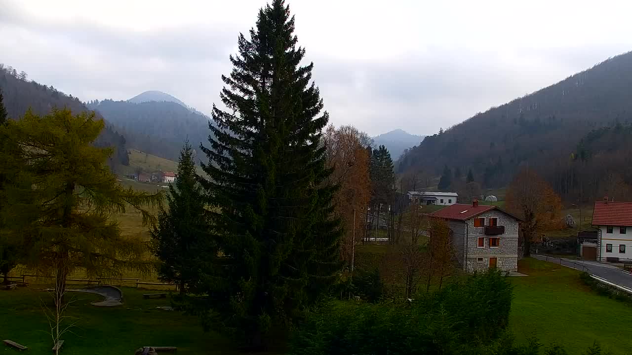 Lokve kamera – Naravne lepote Trnovskega gozda