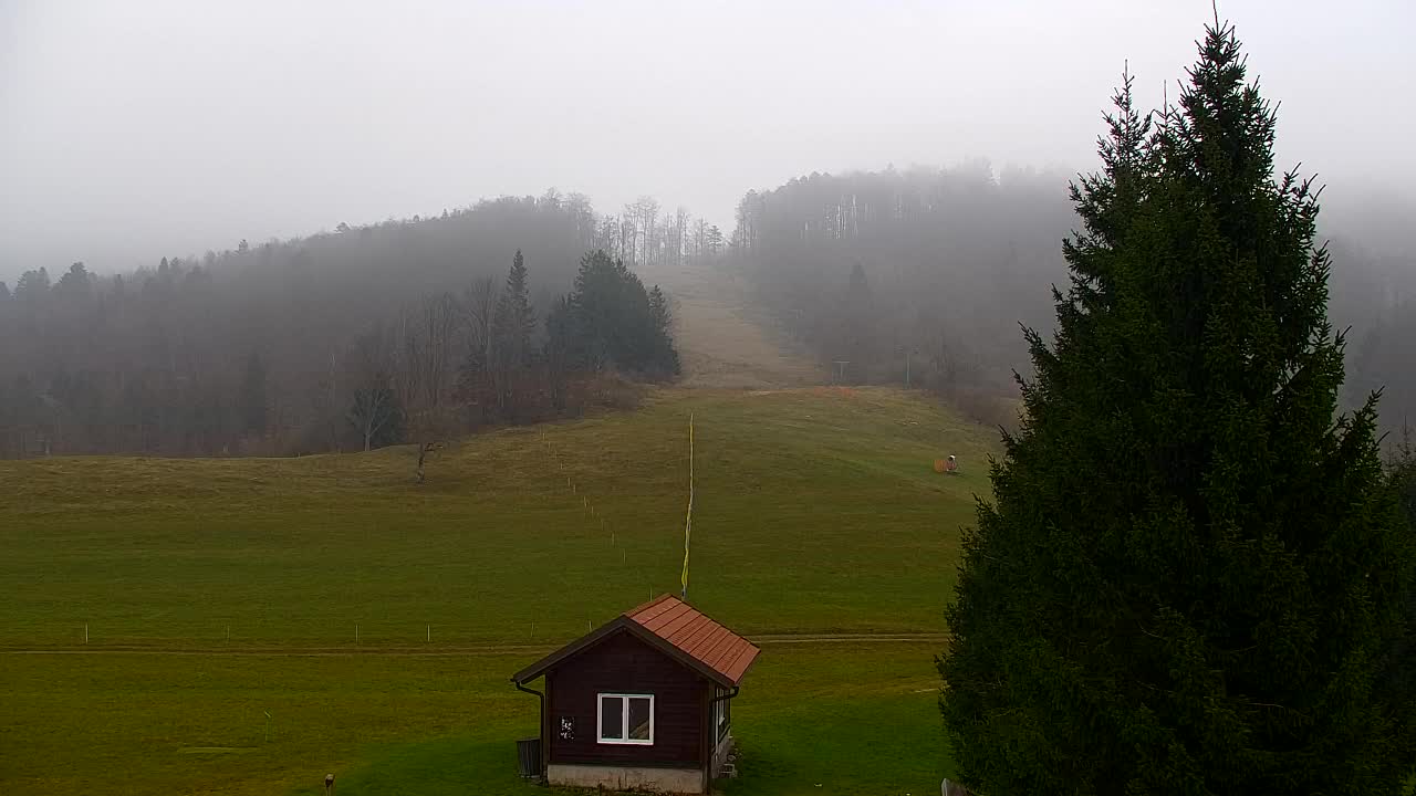 Camera en vivo Lokve – La belleza del bosque de Trnovo
