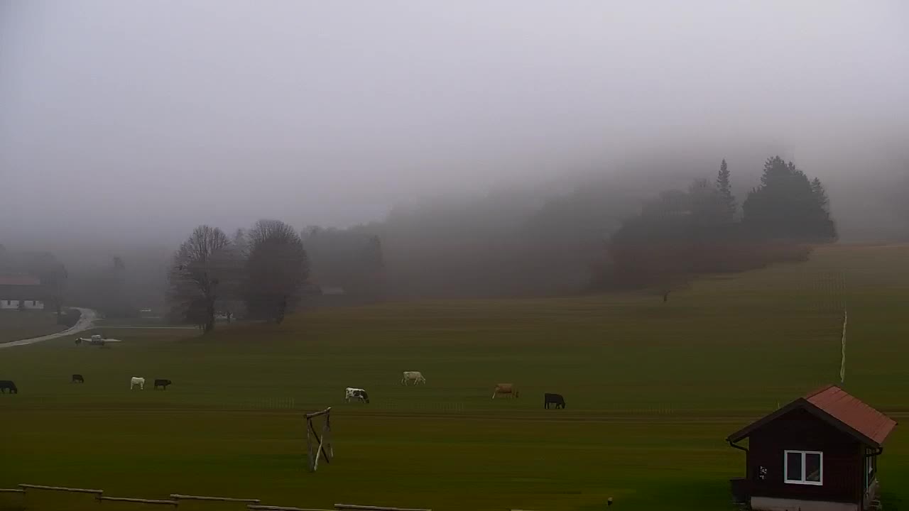 Webcam Lokve – La beauté de la forêt de Trnovo