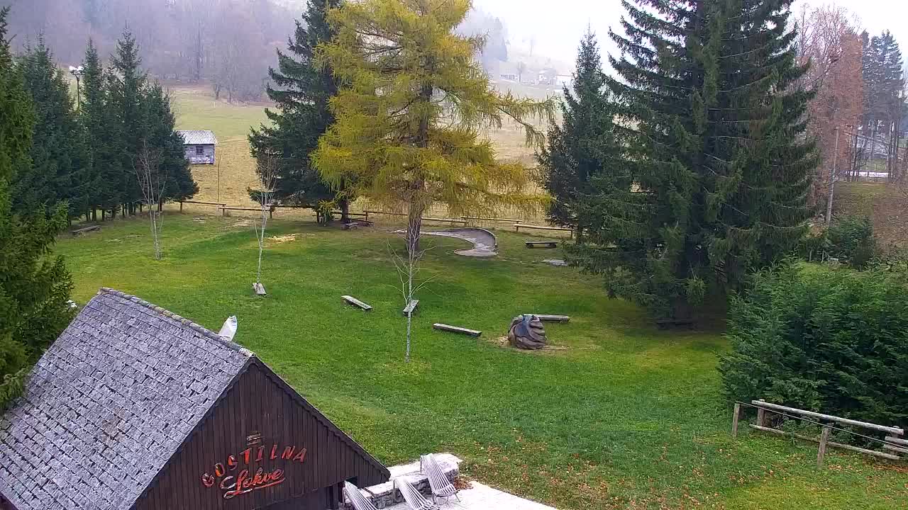 Webcam Lokve – La beauté de la forêt de Trnovo