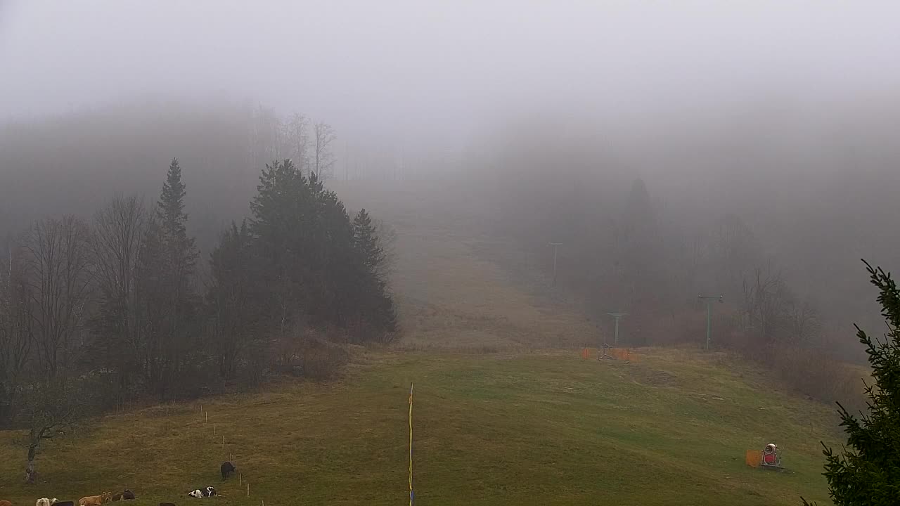 Camera en vivo Lokve – La belleza del bosque de Trnovo