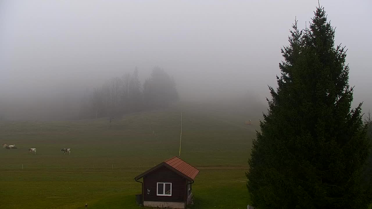 Webcam Lokve – Die Schönheit des Trnovo-Waldes