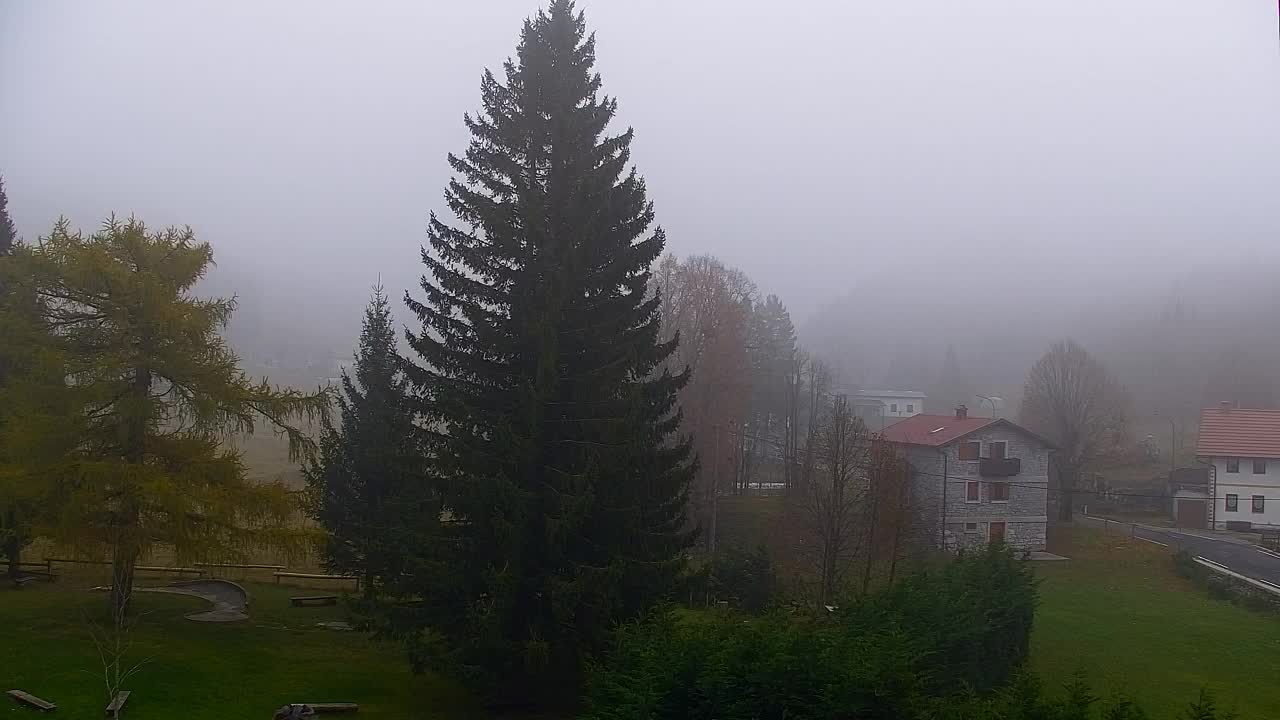 Webcam Lokve – La beauté de la forêt de Trnovo