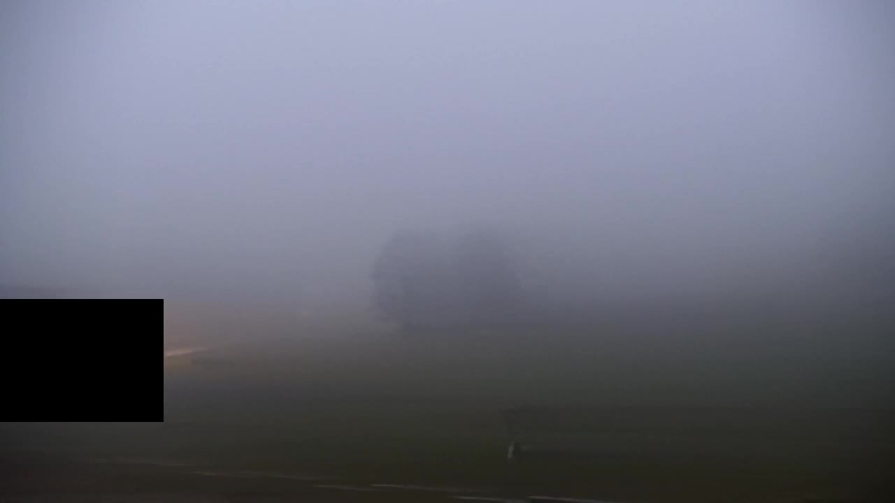 Camera en vivo Lokve – La belleza del bosque de Trnovo