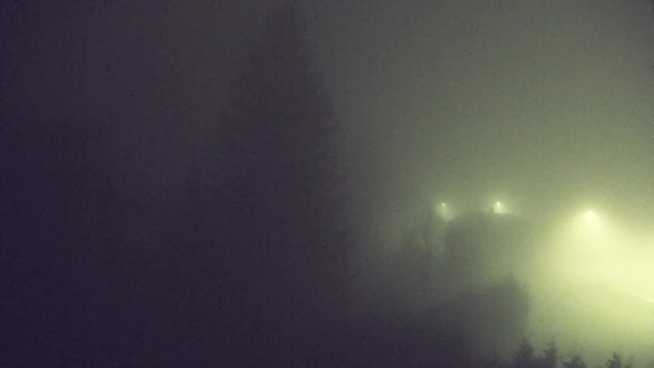 Webcam Lokve – Die Schönheit des Trnovo-Waldes