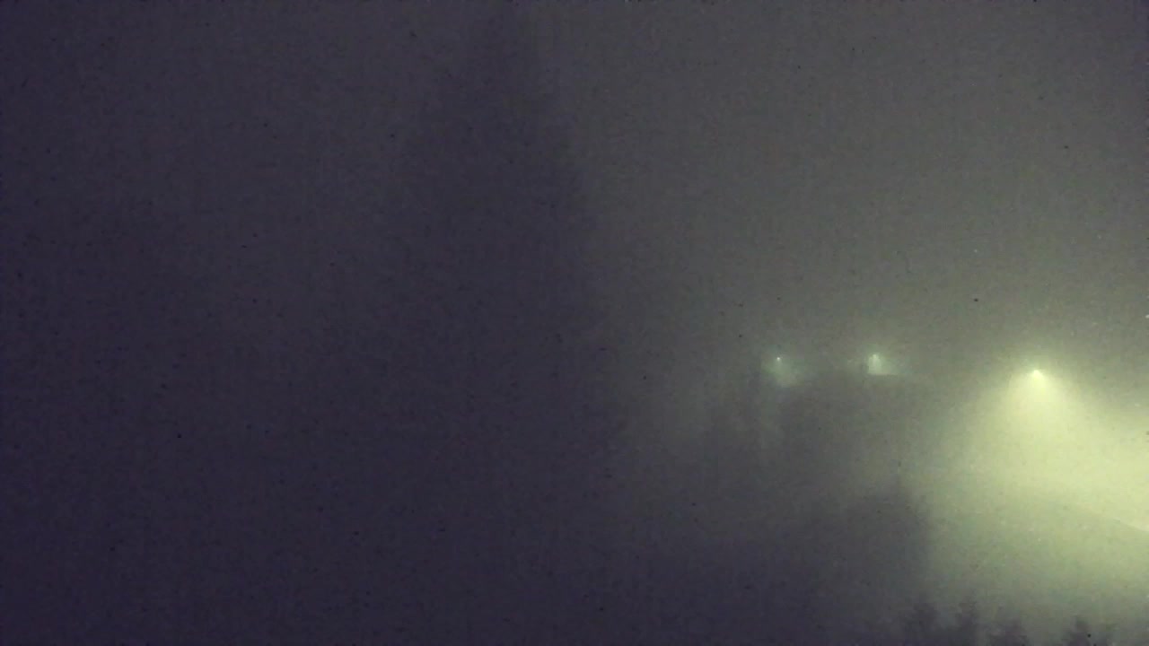 Webcam Lokve – La beauté de la forêt de Trnovo