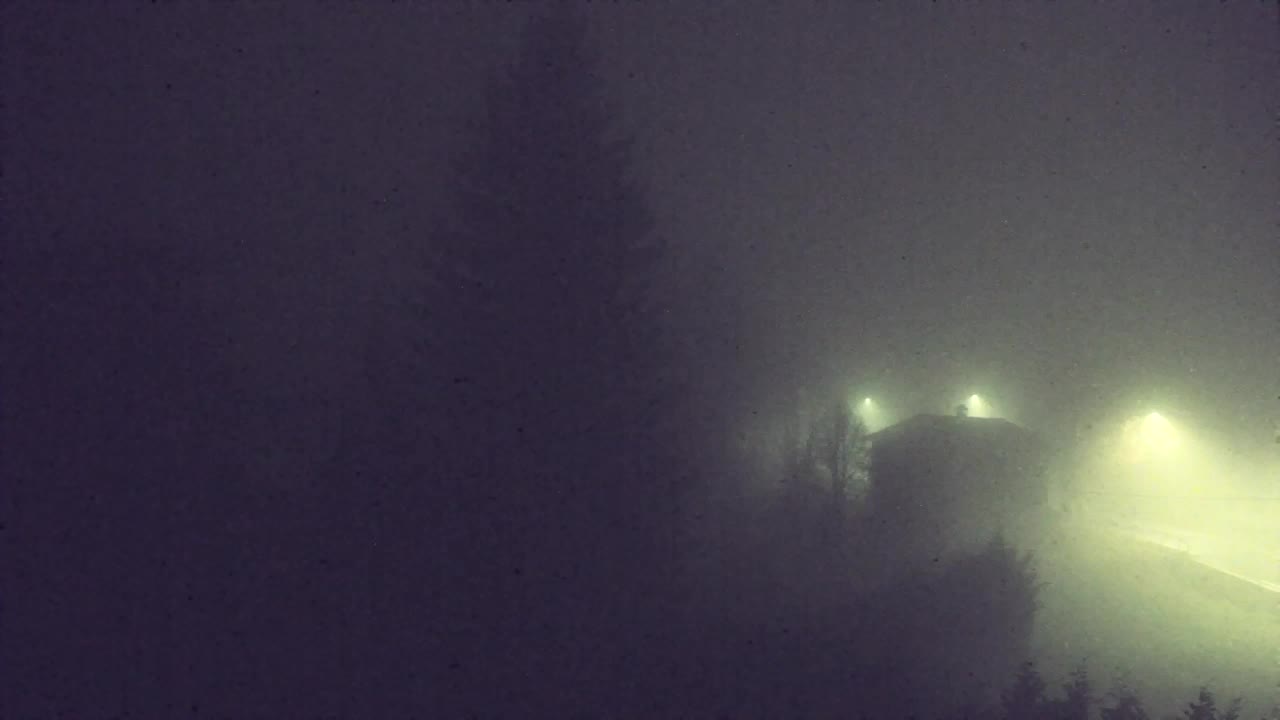 Webcam Lokve – Die Schönheit des Trnovo-Waldes