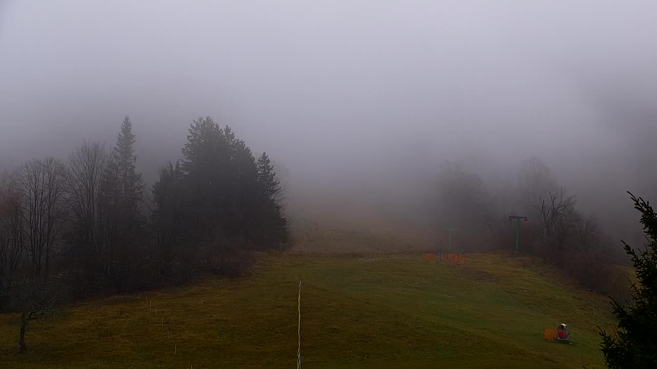 Webcam Lokve – The beauty of the Trnovo forest